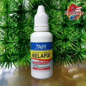 API MELAFIX ANTIBACTERIAL FISH MEDICATION 30 ML | API Melafix Betta Fish Medicine Treats Various Kinds Of Fish Diseases