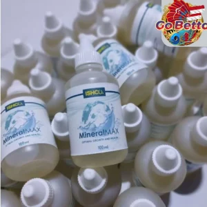 🇸🇬 ISHCO Channa Guppy Betta Fish Medicine Vitamin Treatment | Betta Booster Mineral Max Catappa Liquid Chlorine Stop