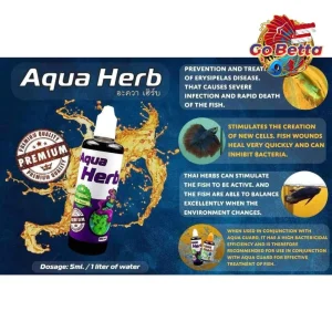 🇸🇬 POPULAR AQUA KING THAILAND | DROPSY | HERB | COLORFULPLUS | BOOSTER MAX | COLORFUL POWDER | BETTA VITTA | CHLORO