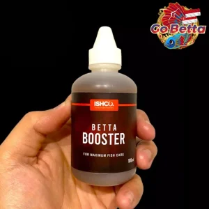 🇸🇬 Betta Fish Multivitamin & Booster 100 ml – Essential Supplement for Contest Betta, Channa & Ornamental Fish Health Ca