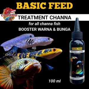 🇸🇬 BASIC FEED TREATMENT OF CHANNA FLARING FISH | CHANNA FISH VITAMINS 100ML INCREASE COLOR AND FLOWER BETTA PET SHOP
