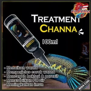 🇸🇬 BASIC FEED TREATMENT OF CHANNA FLARING FISH | CHANNA FISH VITAMINS 100ML INCREASE COLOR AND FLOWER BETTA PET SHOP