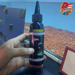 🇸🇬 BASIC FEED TREATMENT OF CHANNA FLARING FISH | CHANNA FISH VITAMINS 100ML INCREASE COLOR AND FLOWER BETTA PET SHOP