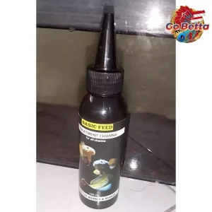 🇸🇬 BASIC FEED TREATMENT OF CHANNA FLARING FISH | CHANNA FISH VITAMINS 100ML INCREASE COLOR AND FLOWER BETTA PET SHOP