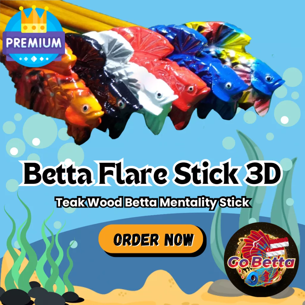SG Seller Betta Flare Stick 3D Train Betta Mentality Betta Fish Flare Stik Mental Cupang 3D Melatih Mental Ikan Cupang
