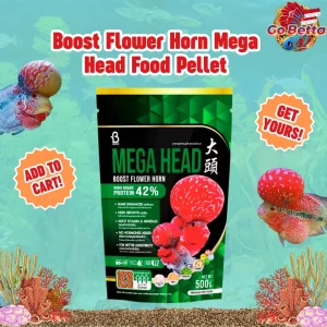 Flowerhorn Fish Food 100gr Mega Head Booster Pellet for Louhan Growth Color Enhancer Fast Head Development
