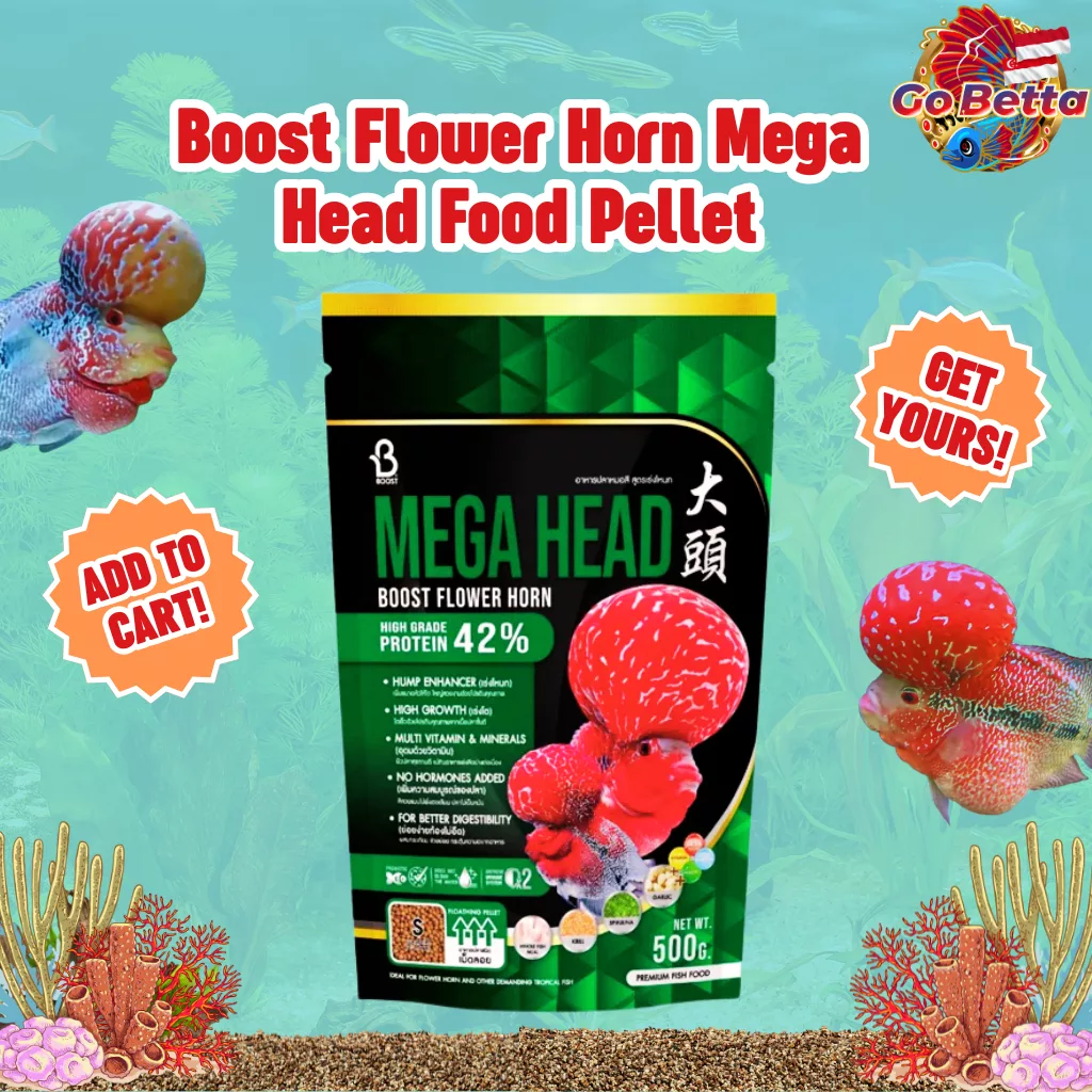 Flowerhorn Fish Food 100gr Mega Head Booster Pellet for Louhan Growth Color Enhancer Fast Head Development