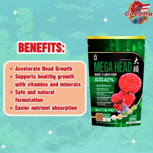 Flowerhorn Fish Food 100gr Mega Head Booster Pellet for Louhan Growth Color Enhancer Fast Head Development