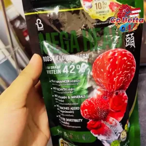 Flowerhorn Fish Food 100gr Mega Head Booster Pellet for Louhan Growth Color Enhancer Fast Head Development