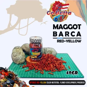 MAGGOT BARCA SUPER RED-YELLOW Fish Feed 40g Enhance Red & Yellow Color for Channa Maru, Auranti, Pulchra, Rim & Limbata