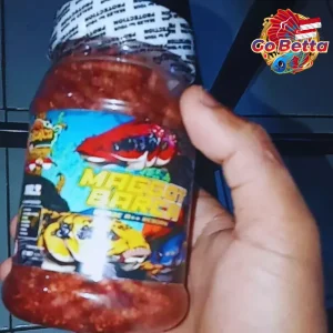 MAGGOT BARCA SUPER RED-YELLOW Fish Feed 40g Enhance Red & Yellow Color for Channa Maru, Auranti, Pulchra, Rim & Limbata