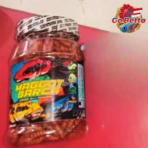MAGGOT BARCA SUPER RED-YELLOW Fish Feed 40g Enhance Red & Yellow Color for Channa Maru, Auranti, Pulchra, Rim & Limbata