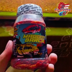 MAGGOT BARCA SUPER RED-YELLOW Fish Feed 40g Enhance Red & Yellow Color for Channa Maru, Auranti, Pulchra, Rim & Limbata