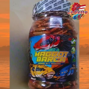 MAGGOT BARCA SUPER RED-YELLOW Fish Feed 40g Enhance Red & Yellow Color for Channa Maru, Auranti, Pulchra, Rim & Limbata