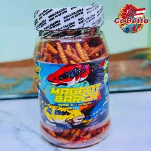 MAGGOT BARCA SUPER RED-YELLOW Fish Feed 40g Enhance Red & Yellow Color for Channa Maru, Auranti, Pulchra, Rim & Limbata