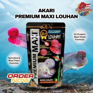 [SG Seller] Akari Premium Maxi Louhan 100Gram 100Gr Lohan Louhan Fish Food (2 mm) Lou含有鱼食 Louhan Store Louhan Shop