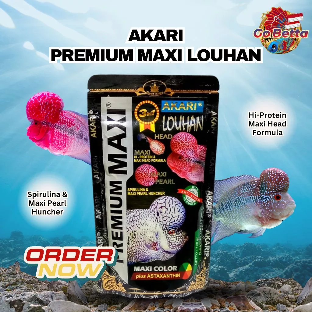 [SG Seller] Akari Premium Maxi Louhan 100Gram 100Gr Lohan Louhan Fish Food (2 mm) Lou含有鱼食 Louhan Store Louhan Shop