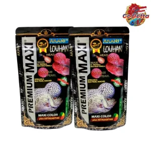 [SG Seller] Akari Premium Maxi Louhan 100Gram 100Gr Lohan Louhan Fish Food (2 mm) Lou含有鱼食 Louhan Store Louhan Shop