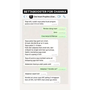 SG Seller BETTA BOOSTER MULTIVITAMIN OBAT CUPANG KONTES / CHANNA / IKAN HIAS | Betta Fish Contest Multivitamin Vitamins