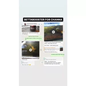 SG Seller BETTA BOOSTER MULTIVITAMIN OBAT CUPANG KONTES / CHANNA / IKAN HIAS | Betta Fish Contest Multivitamin Vitamins