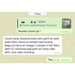 SG Seller BETTA BOOSTER MULTIVITAMIN OBAT CUPANG KONTES / CHANNA / IKAN HIAS | Betta Fish Contest Multivitamin Vitamins