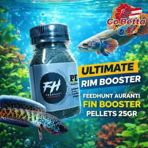 Fish Food Insect Protein PELET FIN AURANTI 25g for Channa Dwarf Auranti, Andrao, Limbata, Stewartii | Natural Nutrition