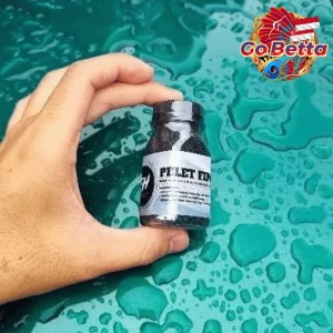 Fish Food Insect Protein PELET FIN AURANTI 25g for Channa Dwarf Auranti, Andrao, Limbata, Stewartii | Natural Nutrition