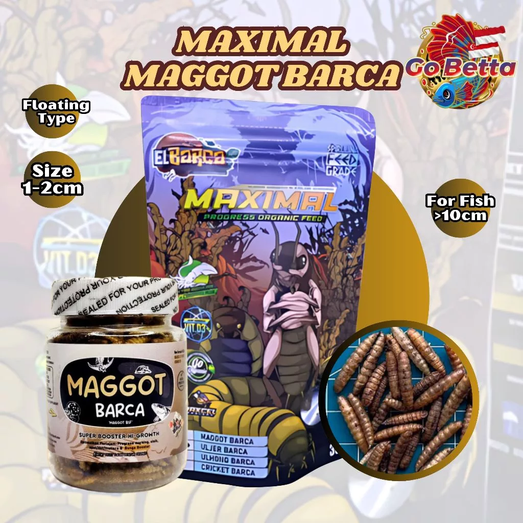[SG Seller] MAGGOT BARCA – Dried BSF Maggot Grade A with Spirulina & Squid Ink Pellet Feed for Channa Fish & Reptiles