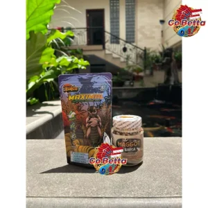 [SG Seller] MAGGOT BARCA – Dried BSF Maggot Grade A with Spirulina & Squid Ink Pellet Feed for Channa Fish & Reptiles