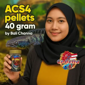 Bali Channa ACS4 Premium Fish Pellets 40g | For Channa Maru & Snakehead Fish | Accelerates Growth, Color & Flowering