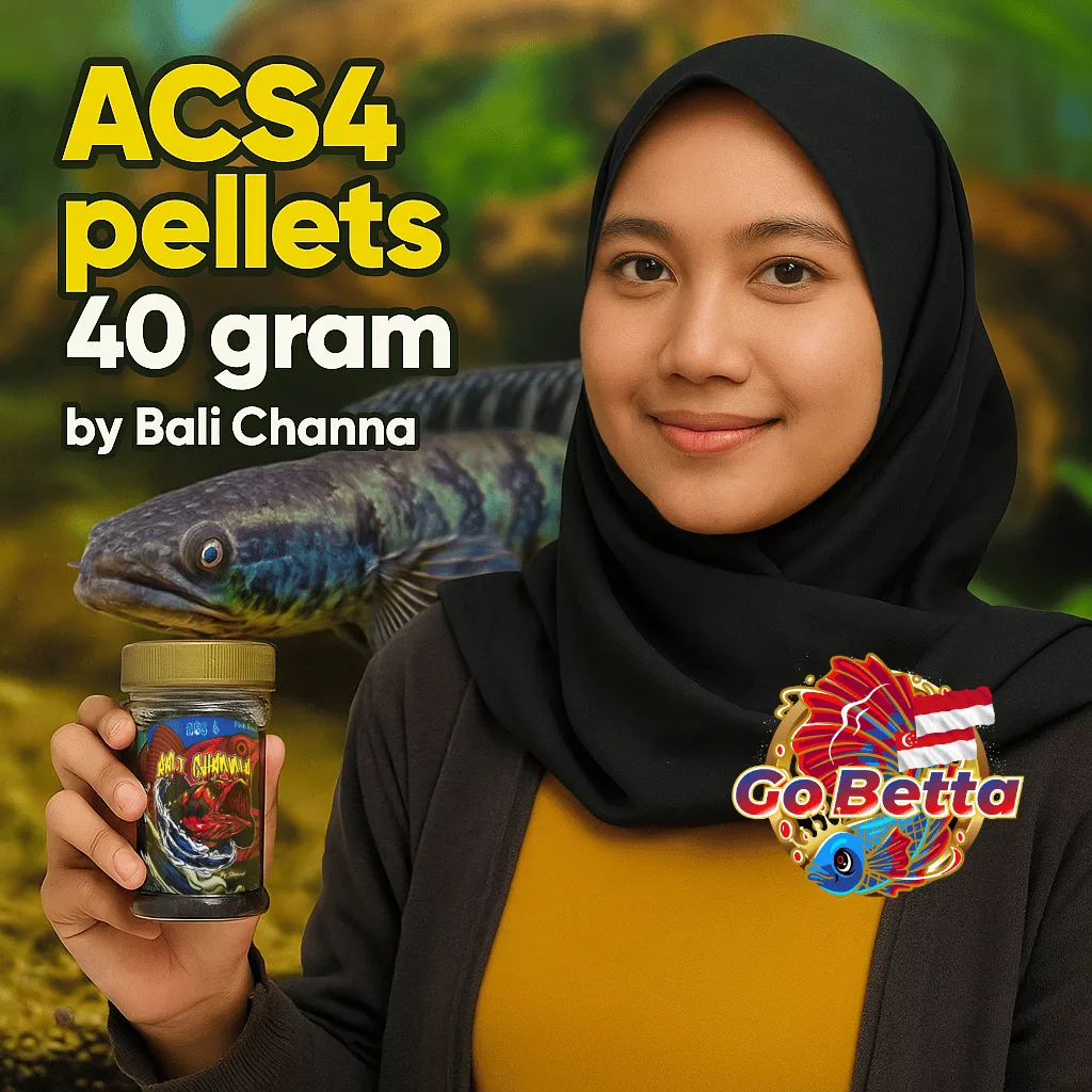 Bali Channa ACS4 Premium Fish Pellets 40g | For Channa Maru & Snakehead Fish | Accelerates Growth, Color & Flowering