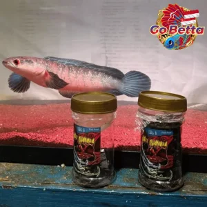 Bali Channa ACS4 Premium Fish Pellets 40g | For Channa Maru & Snakehead Fish | Accelerates Growth, Color & Flowering