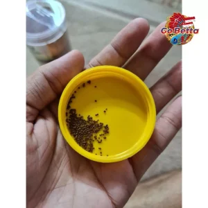 🇸🇬 SUMA Fish Food Pellet Thick Builder Scale and Tail 20g | Fish Pellet for Scale & Tail Enhancer Betta Fish Suma Thai