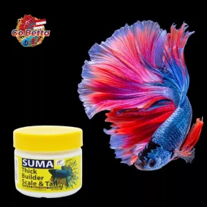 🇸🇬 SUMA Fish Food Pellet Thick Builder Scale and Tail 20g | Fish Pellet for Scale & Tail Enhancer Betta Fish Suma Thai