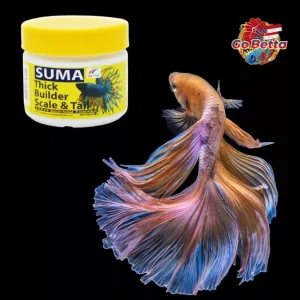 🇸🇬 SUMA Fish Food Pellet Thick Builder Scale and Tail 20g | Fish Pellet for Scale & Tail Enhancer Betta Fish Suma Thai
