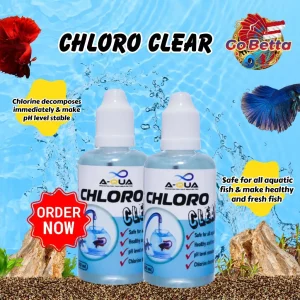 🇸🇬 AQUA CHLORO CLEAR  BY AQUAKING THAILAND TO CHLORINE DECOMPOSE IMMEDIATELY | FRESH STOCKS DIRECTLY FROM MANUFACTURER