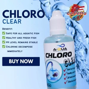 🇸🇬 AQUA CHLORO CLEAR  BY AQUAKING THAILAND TO CHLORINE DECOMPOSE IMMEDIATELY | FRESH STOCKS DIRECTLY FROM MANUFACTURER