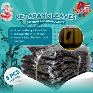 🇸🇬 Premium Ketapang Bundle: Fermented 5x100gr Super Quality for Betta Fish, Channa, Arwana | Processed Dry Leaves