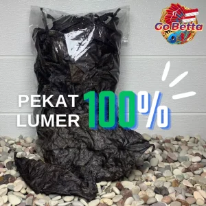 🇸🇬 Premium Ketapang Bundle: Fermented 5x100gr Super Quality for Betta Fish, Channa, Arwana | Processed Dry Leaves