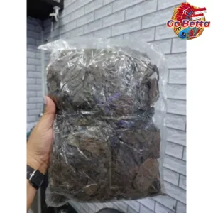 🇸🇬 Premium Ketapang Bundle: Fermented 5x100gr Super Quality for Betta Fish, Channa, Arwana | Processed Dry Leaves