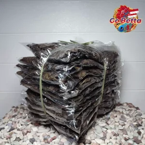 🇸🇬 Premium Ketapang Bundle: Fermented 5x100gr Super Quality for Betta Fish, Channa, Arwana | Processed Dry Leaves