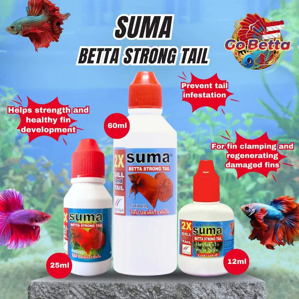 🇸🇬 SUMA STRONG TAIL 100% ORIGINAL THAILAND HEALING BETCH FISH TAILS | FRESH STOCKS DIRECTLY FROM MANUFACTURER