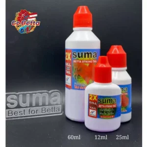 🇸🇬 SUMA STRONG TAIL 100% ORIGINAL THAILAND HEALING BETCH FISH TAILS | FRESH STOCKS DIRECTLY FROM MANUFACTURER