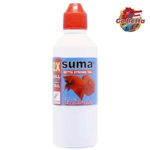 🇸🇬 SUMA STRONG TAIL 100% ORIGINAL THAILAND HEALING BETCH FISH TAILS | FRESH STOCKS DIRECTLY FROM MANUFACTURER