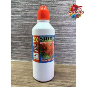 🇸🇬 SUMA STRONG TAIL 100% ORIGINAL THAILAND HEALING BETCH FISH TAILS | FRESH STOCKS DIRECTLY FROM MANUFACTURER