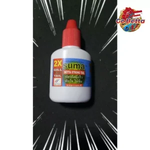 🇸🇬 SUMA STRONG TAIL 100% ORIGINAL THAILAND HEALING BETCH FISH TAILS | FRESH STOCKS DIRECTLY FROM MANUFACTURER