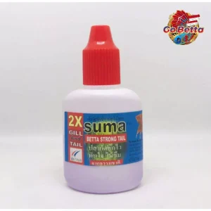 🇸🇬 SUMA STRONG TAIL 100% ORIGINAL THAILAND HEALING BETCH FISH TAILS | FRESH STOCKS DIRECTLY FROM MANUFACTURER
