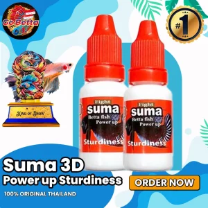 [SG Seller] SUMA 3D STURDINESS BETTA FISH BETTA CONTEST FRESH STOCKS SUMA 3D POWER UP IMPROVE FORM DEPORTMENT AGGRESSION