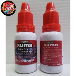 [SG Seller] SUMA 3D STURDINESS BETTA FISH BETTA CONTEST FRESH STOCKS SUMA 3D POWER UP IMPROVE FORM DEPORTMENT AGGRESSION