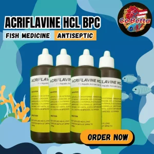 [SG Seller] Acriflavine HCL BPC 100ml Fish Medicine Obat Jamur Ikan HCL Vitamin Ikan Obat Penyembuh Segala Jenis Ikan